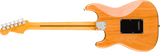 Fender American Professional Stratocaster
