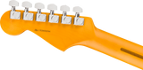 Fender American Professional Stratocaster
