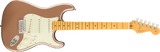 Fender American Professional Classic Stratocaster