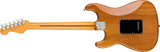 Fender American Professional II Stratocaster