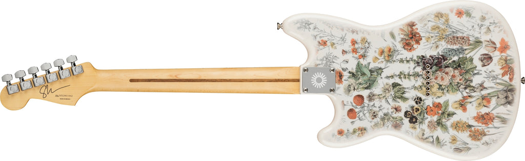 Shawn mendes outlet fender guitar price