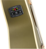 กีต้าร์โปร่ง FENDER NEWPORTER PLAYER