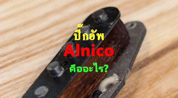 ปิ๊กอัพ ALNICO คืออะไร?