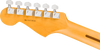 Fender American Professional Stratocaster