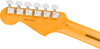 Fender American Professional Stratocaster