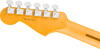 Fender American Professional Stratocaster