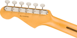 Fender American Professional Classic Stratocaster