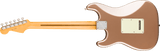 Fender American Professional Classic Stratocaster