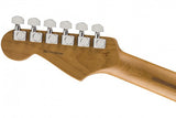 Fender Limited Edition American Professional II Stratocaster, Roasted Neck