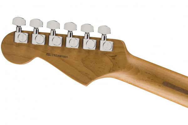 Fender Limited Edition American Professional II Stratocaster, Roasted Neck
