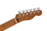 กีต้าร์ไฟฟ้า Fender Limited Edition Player Telecaster Sienna Sunburst