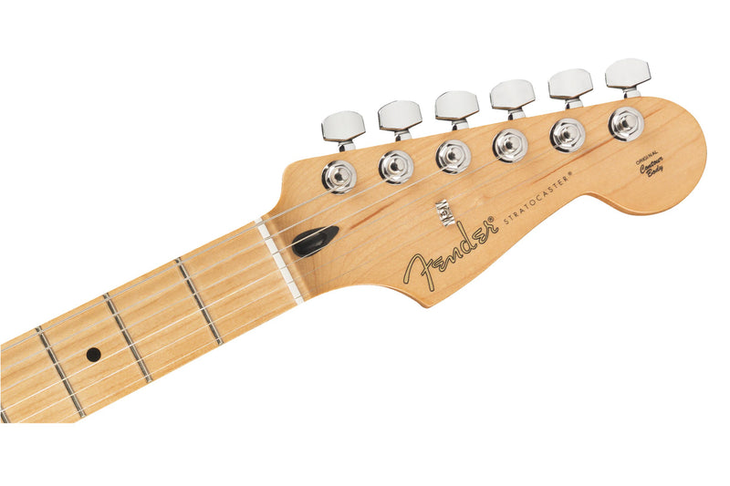 Fender Limited Edition Player Stratocaster Inca Silver