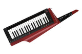 Korg RK-100S 2 KeyTar