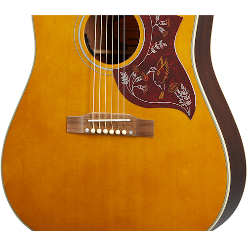 กีต้าร์โปร่ง Epiphone inspired by Gibson Masterbilt Hummingbird