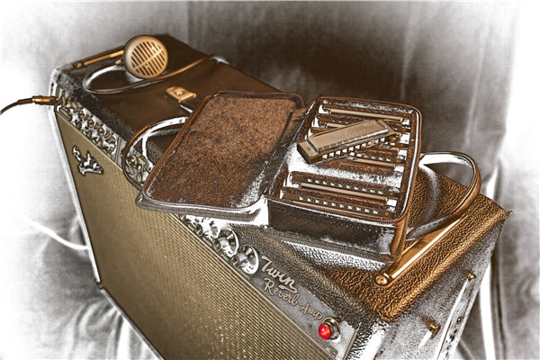ฮาโมนิก้า เมาท์ออแกน Fender Blues Deluxe Harmonicas 7-Packs with case