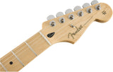 กีต้าร์ไฟฟ้า FENDER PLAYER STRATOCASTER® PLUS TOP