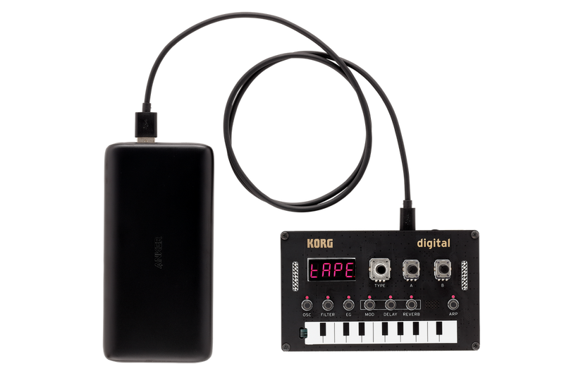 ซินธิไซเซอร์ KORG NTS-1 DIGITAL KIT