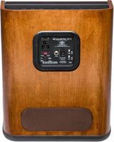 แอมป์กีต้าร์โปร่ง Fender Acoustic SFX