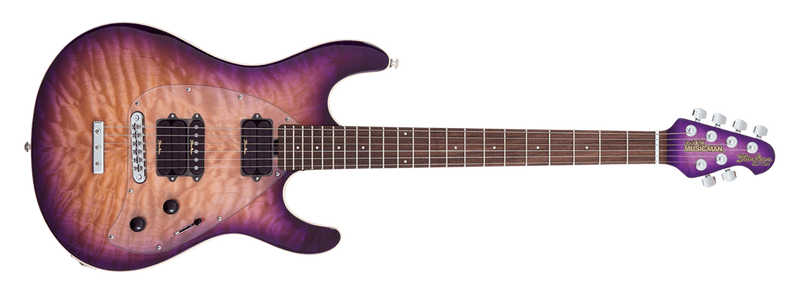 Music Man Steve Morse Y2D